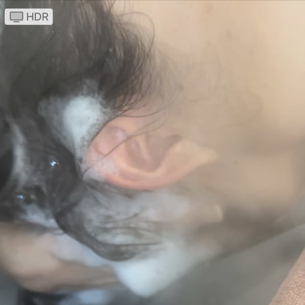 至高のシャンプースパ➕高級システムトリートメント付|Naturelle beaute Ron