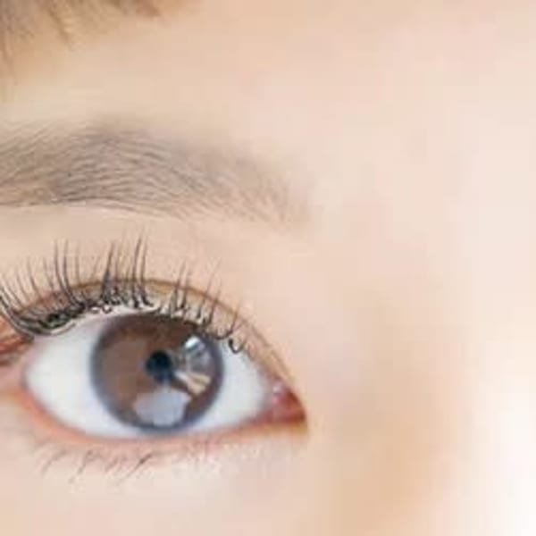 【ご新規様大歓迎】大人気フラットマットラッシュエクステ！軽いつけ心地で自まつ毛のような仕上がりに◎　|Lukia