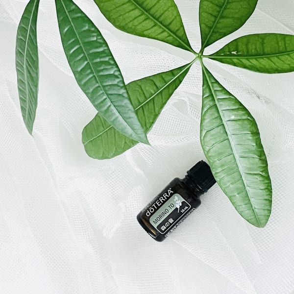 【New】森の音ブレンドオイル|NADI YOGA SALON