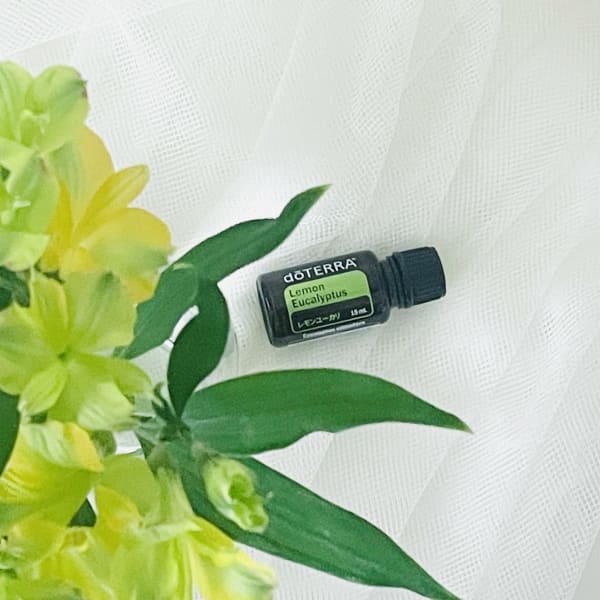 【New】レモンユーカリプタス|NADI YOGA SALON