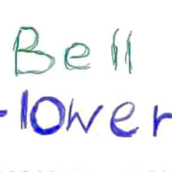 ツヤツヤサラサラになれるトリートメント|Hair salon Bell flower