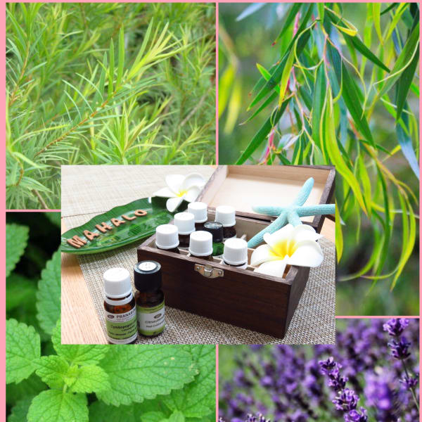 【花粉対策/免疫力アップ】|プライベートリラクゼーションサロン ロミロミRelace