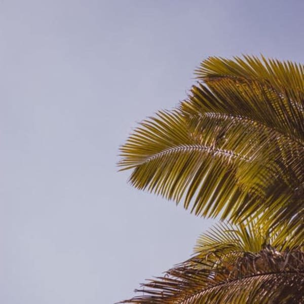 【圧倒的、髪質改善サロン!!】既に10万人の実績を誇るDEFIで本物の髪質改善を体験下さい♪|全席個室美容室 DEFI上野 髪質改善&トリートメント