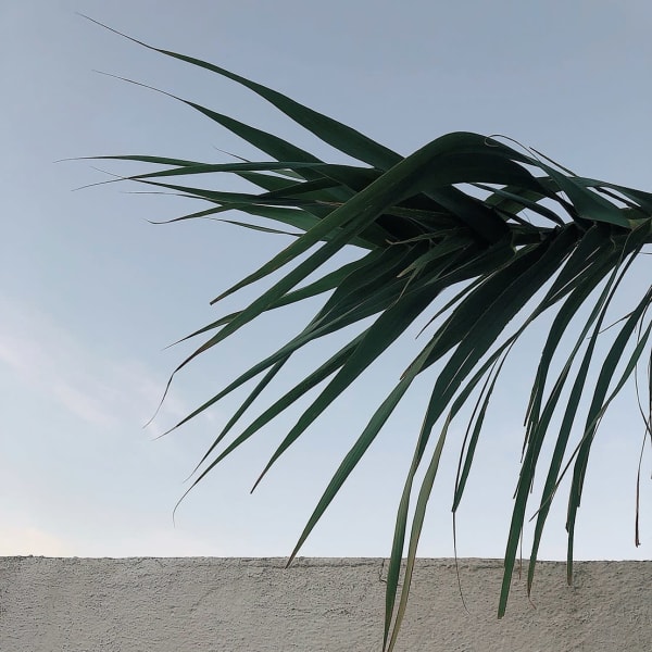 【実はDEFIで大人気の裏メニュー】エイジング効果抜群!!頭皮改善を図る、資生堂ヘッドスパ!!|全席個室美容室 DEFI上野 髪質改善&トリートメント