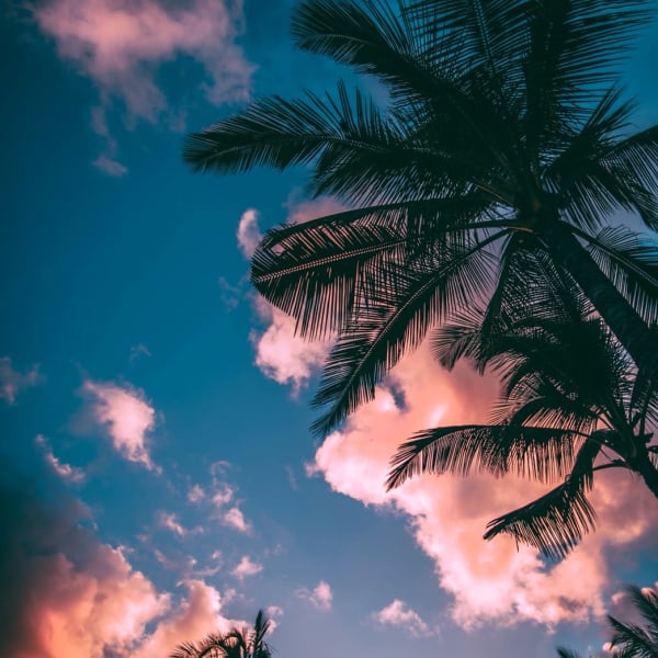 【ショートカットが得意なサロン】人気の秘訣はカウンセリングでの似合わせ力と高い技術力♪♪|全席個室美容室 DEFI上野 髪質改善&トリートメント