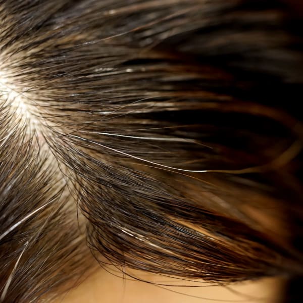 【白髪染め】カラー剤とは違う？ヘナとハーブカラーの違いについて！|Hair Garden RePURE