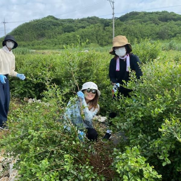 本物だけを伝えたい!!【完全無農薬100%天然国産ヘナ】|michi