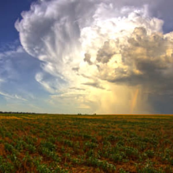 あなたの体調不良は「気象病」が原因かもしれません|新リンパサロン横浜青葉西・整体院 中澤