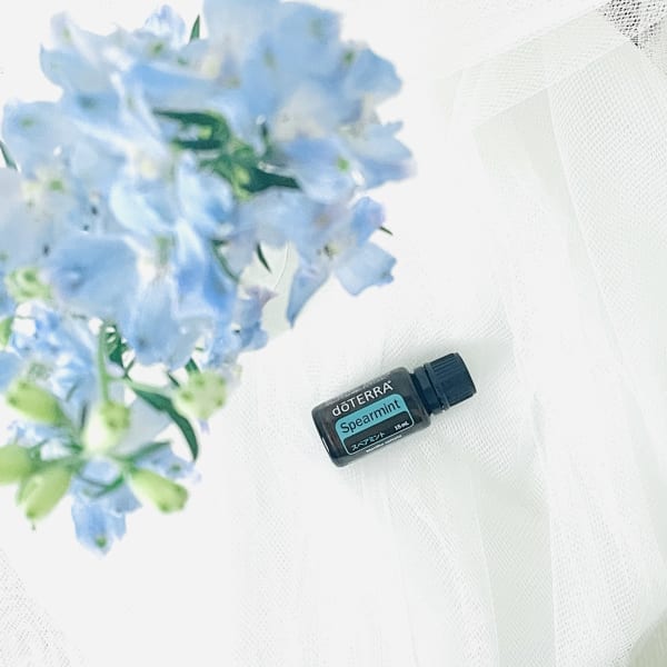 【New】スペアミント|NADI YOGA SALON