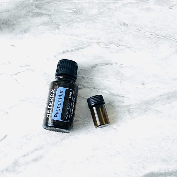 【2024.Aug】yoga ticket purchase novelty|NADI YOGA SALON