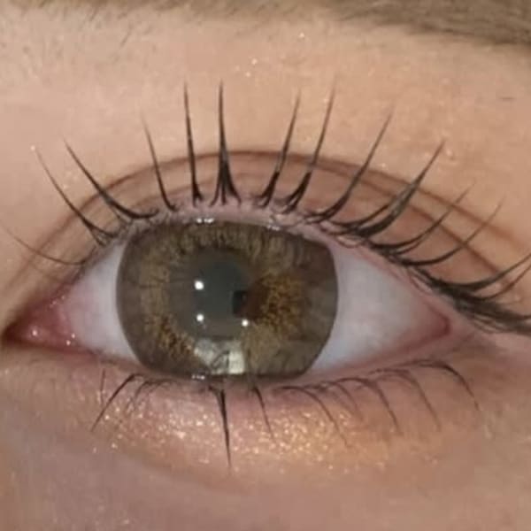 ナチュラル上品な目元にしたい|lazley成増店[ラズリー]マツエク＆まつ毛パーマ アイブロウ MEGAドン・キホーテ成増店