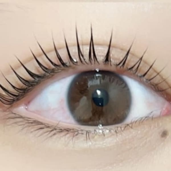 ナチュラル上品な目元にしたい|eyelash lazley所沢 マツエク&まつ毛パーマ 所沢プロぺ通り店