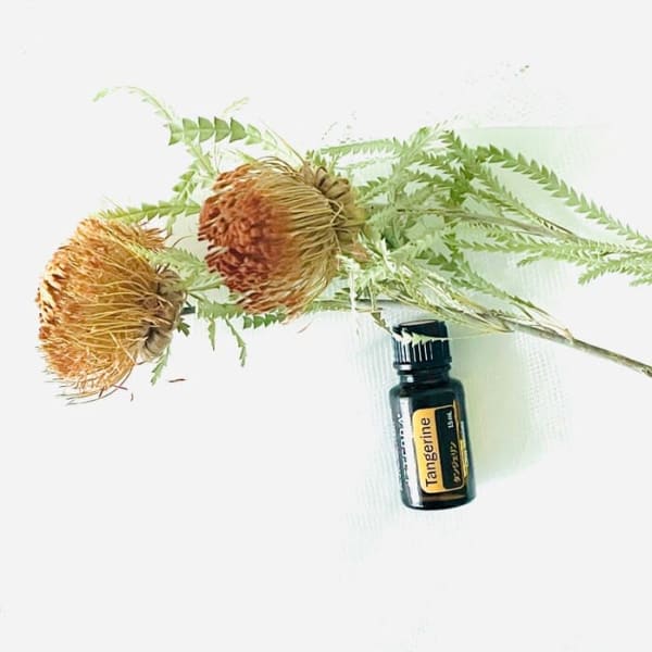 【New】タンジェリン|NADI YOGA SALON