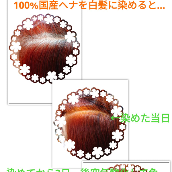 安心安全天然100%ヘナでキレイな艶髪を! これからのオーガニックカラーとは|michi