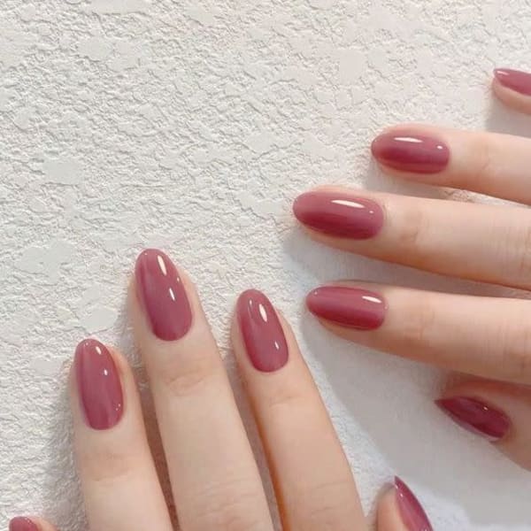 ワンカラー+一色OK オフあり|Alice