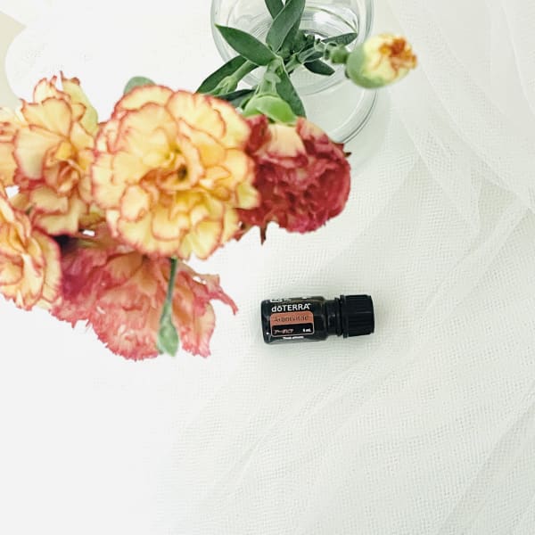 【New】アーボビテ|NADI YOGA SALON