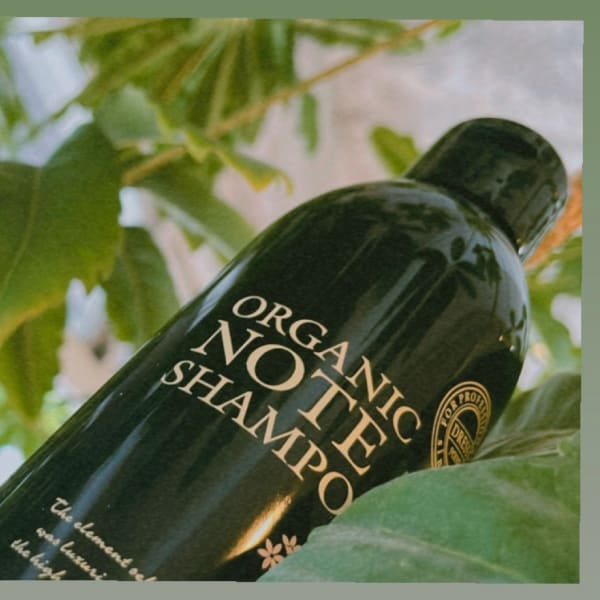 【syampoo&treatment/ORGANIC NOTE】自然と共にあなたの髪を本来の姿に|tity sapporo
