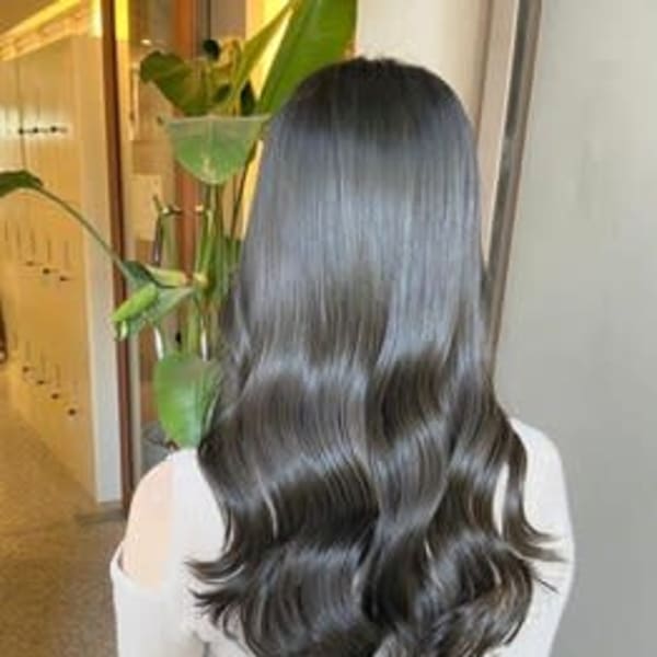 お手頃プライス|TIGRE daimyo