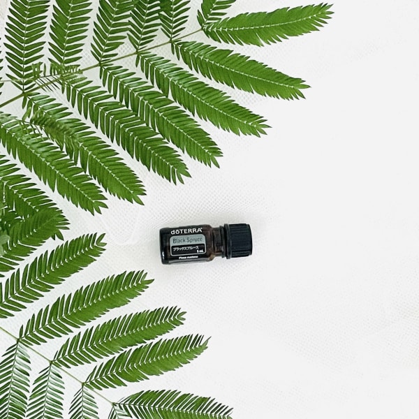 【New】ブラックスプールス|NADI YOGA SALON