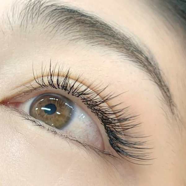 どこにも真似できない美しいラインは『ブロンズアイ』へ！ |BRONZE EYE