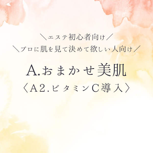 【A.おまかせ美肌〈A2.ビタミンC導入〉】|エステサロン ラウレア