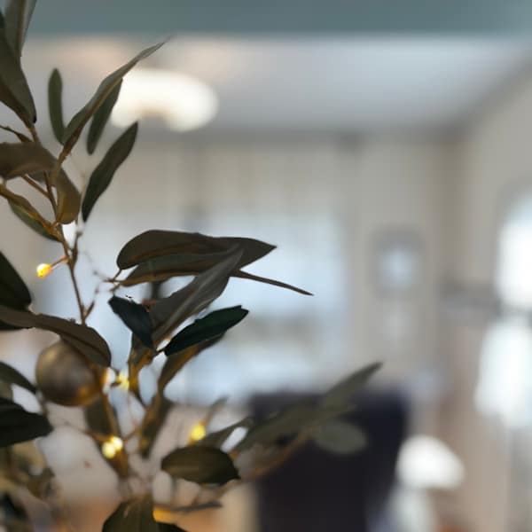 肩の力を抜いて、寛ぎながら、サロンタイムをお過ごしください!|ビューティーガーデン