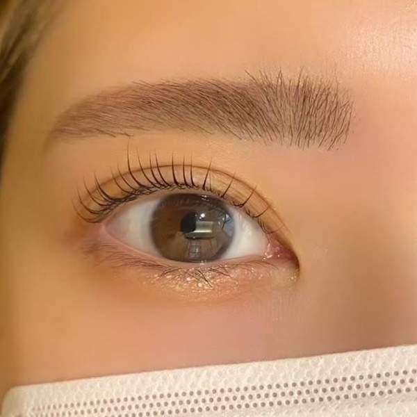 NEWOPEN限定★】美眉スタイリング◇アイブロウWAX¥6500→¥5000|パリジェンヌ・マツエク専門店 Neolive Luca 御茶ノ水店