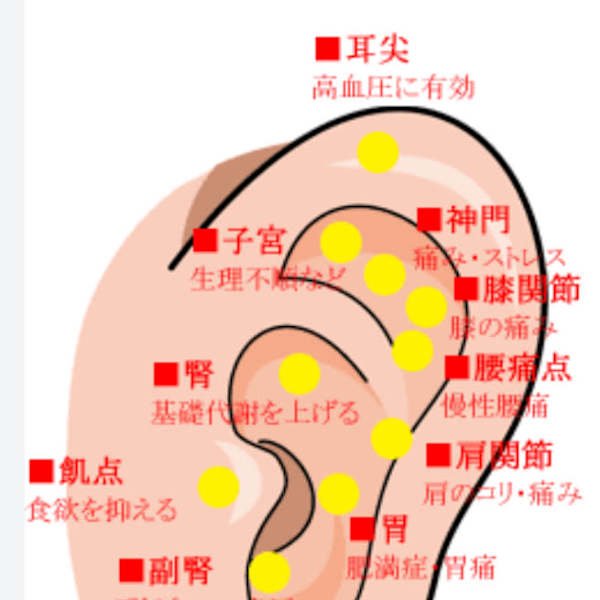耳つぼマッサージ|Cherie cut