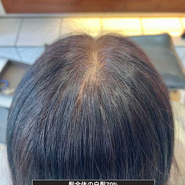 【ダイコーヘナ】を使用したグレイカラー。化学染料を一切含まず、天然100％の植物性の毛染め製品です。|Baroque hair 【バロックヘアー】