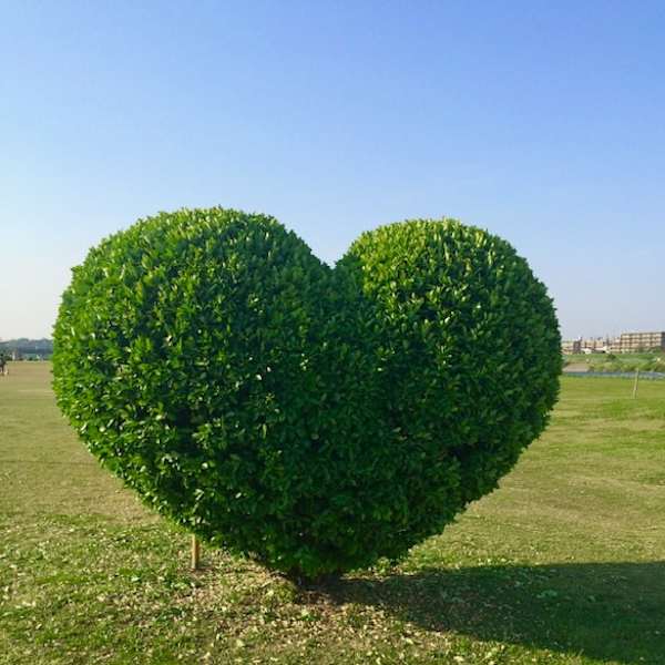 ホリスティック/身体・心・精神への全体的なアプローチで健康と自分らしさを|CLARIS