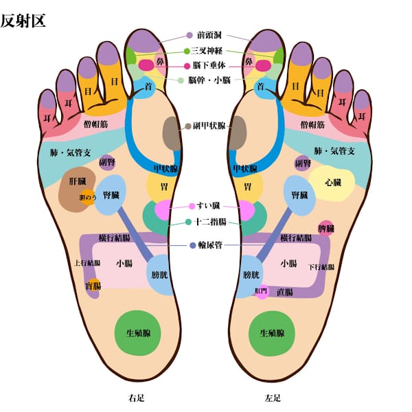 重かった足がスッキリ軽くなるフットリフレクソロジー(足つぼマッサージ)体調、冷え性の改善にも◎|タイ古式サロン カミンチャーン