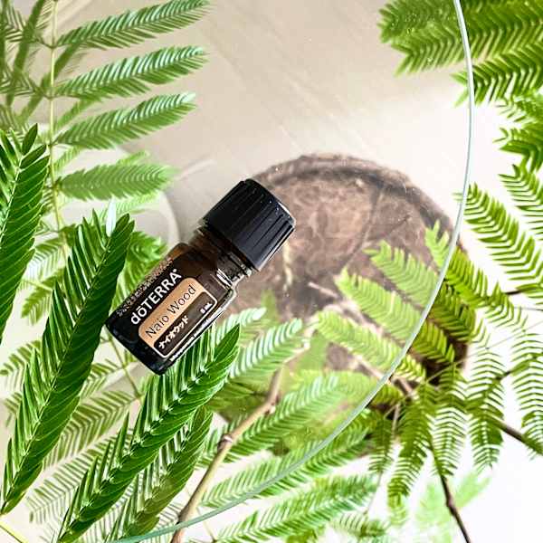 【Limited】ナイオウッドのご紹介|NADI YOGA SALON