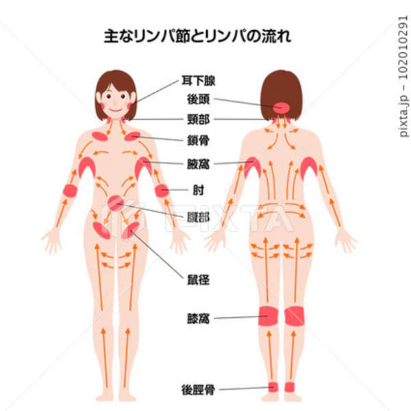 ●リンパマッサージとは？【タイ式リンパマッサージ】|ヌアットタイ新大久保