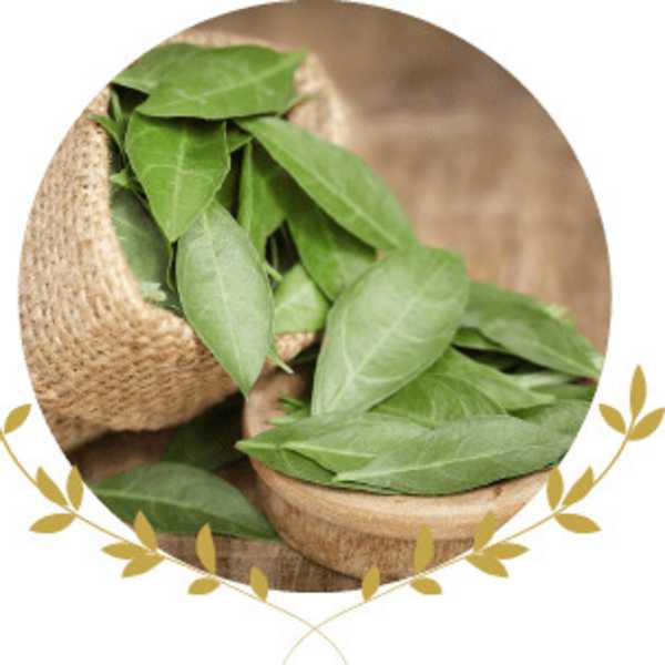 当店ではケミカルヘナ＆オーガニックヘナ両方取り扱い！！|le paradis