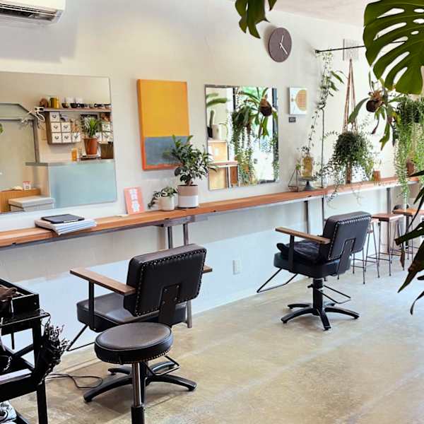 【たくさんの観葉植物があり、陽の光も入るリラックス空間】店主の清野剛広のみの個人サロンです|セイノ美容所