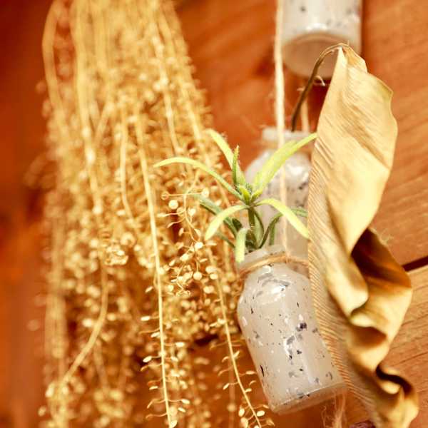 ハイ透明感カラーの≪APPLIE(アプリエ)カラー≫少し明るめのカラー毛の方にもオススメです!|Bridge