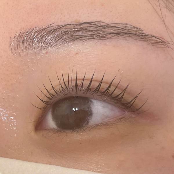 【期間限定クーポン】パリジェンヌラッシュリフト¥5250→¥4950【平日のご予約のみ】|embellie