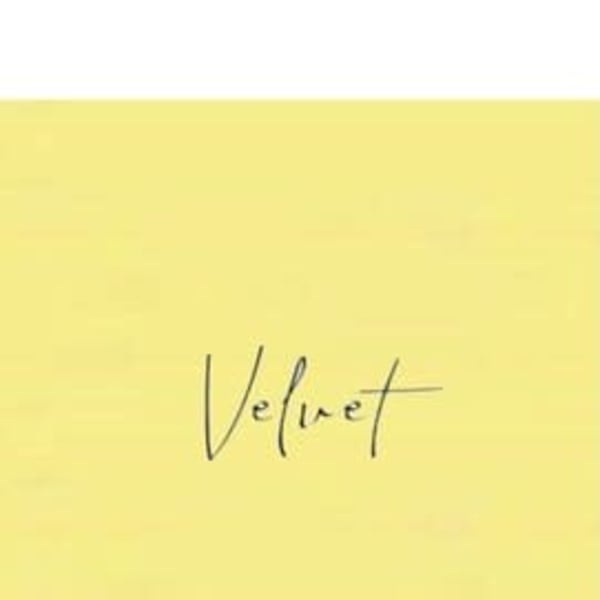 平日限定メニューが豊富|Velvet