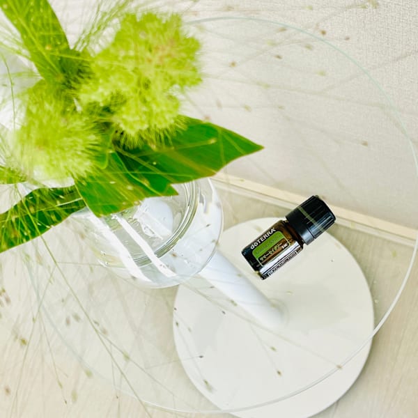 【Limited】サマーセイボリー|NADI YOGA SALON