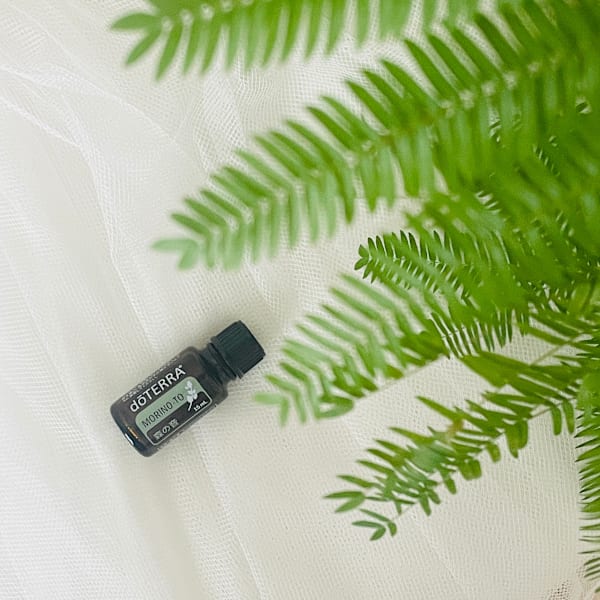 【Limited】森の音ブレンドオイル|NADI YOGA SALON