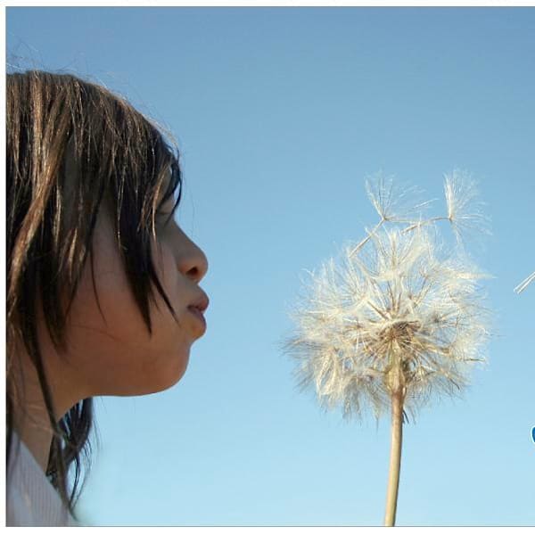 【★美容室で出来るシェービングSPA♫】化粧のノリが変わる!良くなる!ツルッとしたお肌へ!|nina 【ニーナ】三軒茶屋