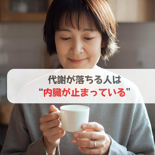 代謝が落ちる人は“内臓が止まっている”|ソフィアパレス 西葛西店