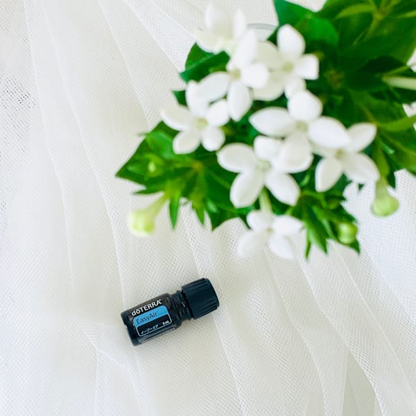 【Limited】イージーエアブレンドオイルのご紹介|NADI YOGA SALON