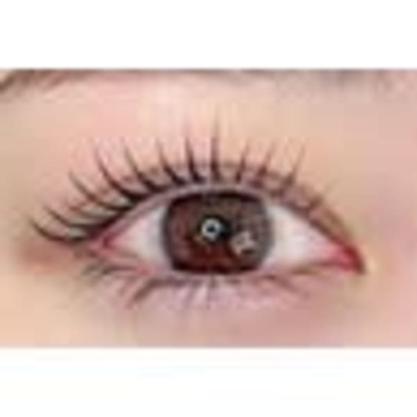 最高級フラットラッシュ120本 ¥5780|Ariel