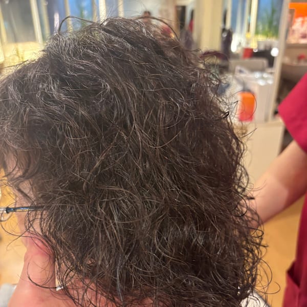 ザクロカラー|Partir