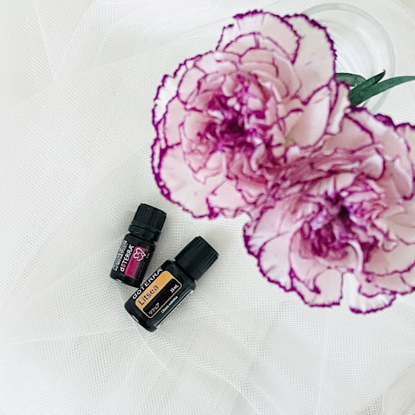 NEWS 【Limited】ホリデーラブ・リツェアのご紹介|NADI YOGA SALON