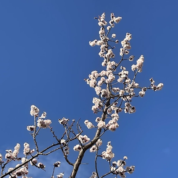 白湯のすすめ♪　身体に優しい簡単ですぐに始められる健康法|ヘアー&エステ EM’S