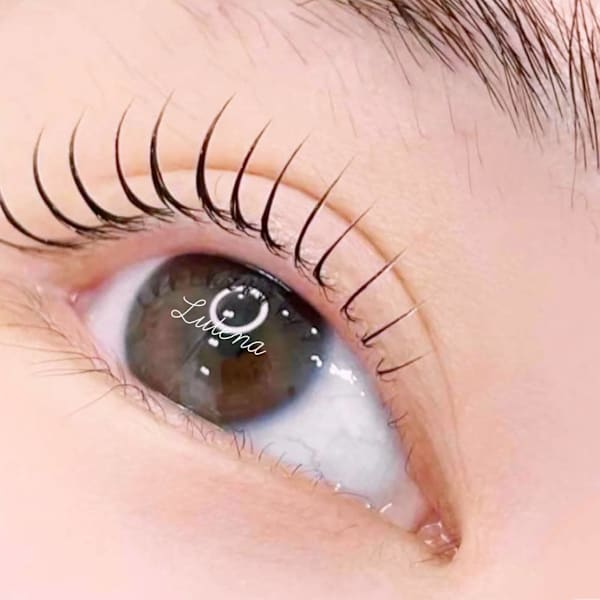 《自まつげ派の方はこれ!!》潤いまつげパーマ「毛先が折れない・縮れない・刺さらない」|眉毛とまつげの専門店【Lutena】