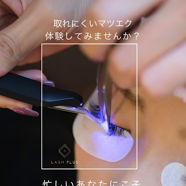 ★13周年記念クーポン★最新LEDエクステ100本5980円/120本6980円/140本7980円|【マツエク・まつげパーマ・眉毛】My ALL 新宿東口店