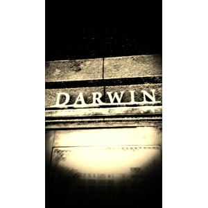 理容室 Darwin 国分寺 ダーウィン の予約 サロン情報 美容院 美容室を予約するなら楽天ビューティ 理容室 Darwin 国分寺 ダーウィン の予約 サロン情報 美容院 美容室を予約するなら楽天ビューティ